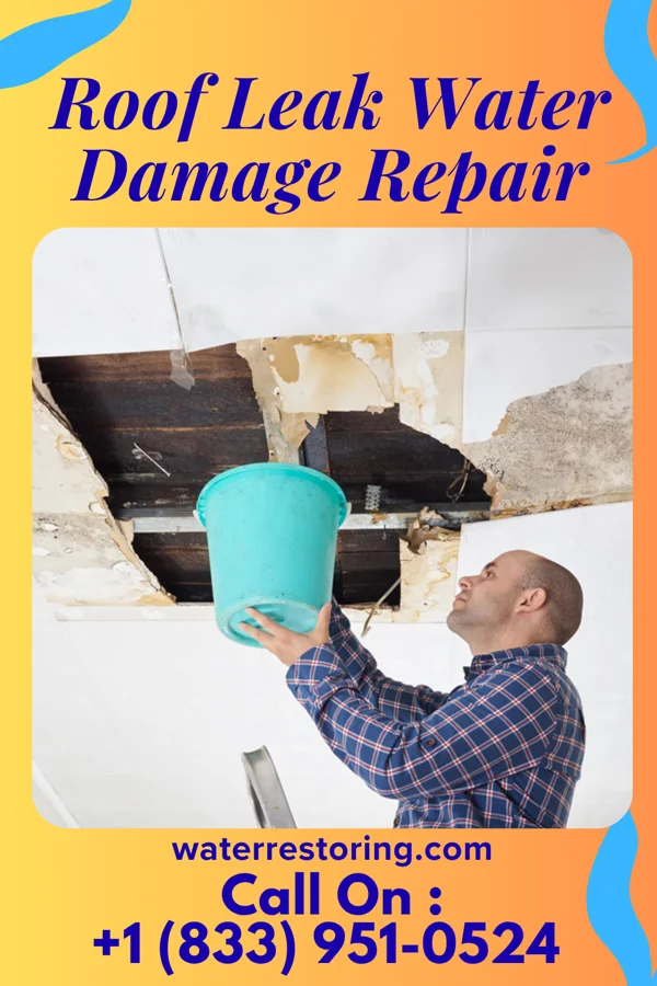 Roof Leak Water Damage Repair in Pocola, OK